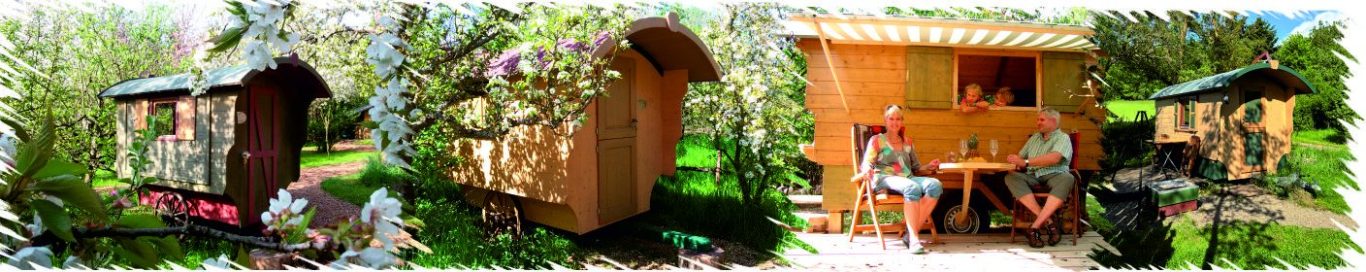 Raus aus dem Alltag. Rein in die Natur. Ob hoch oben im Baumhaus, gemütlich im Schäferwagen oder stilvoll beim Glamping – bei uns wird Urlaub zu einem besonderen Erlebnis. Umgeben von Wiesen, Wäldern und frischer Luft findest du den perfekten Ort für eine Auszeit in der Natur. Unsere naturnahen Unterkünfte bieten Raum zum Durchatmen, Abschalten und Zusammensein. Ideal für Familien, entspannte Tage mit Freunden oder einen erholsamen Urlaub mit Hund – denn auch vierbeinige Begleiter sind bei uns herzlich willkommen. Hier zählen gemeinsame Momente: Frühstück mit Vogelgezwitscher, Barfußlaufen im Gras, Lagerfeuerabende unter dem Sternenhimmel. Kein Lärm, kein Stress – nur Natur, Ruhe und echte Erholung. Gönn dir das Besondere. Natürlich. Entschleunigt. Unvergesslich. Verschiedene Schäferwagen in einem blühenden Garten. Ideal für Familien.